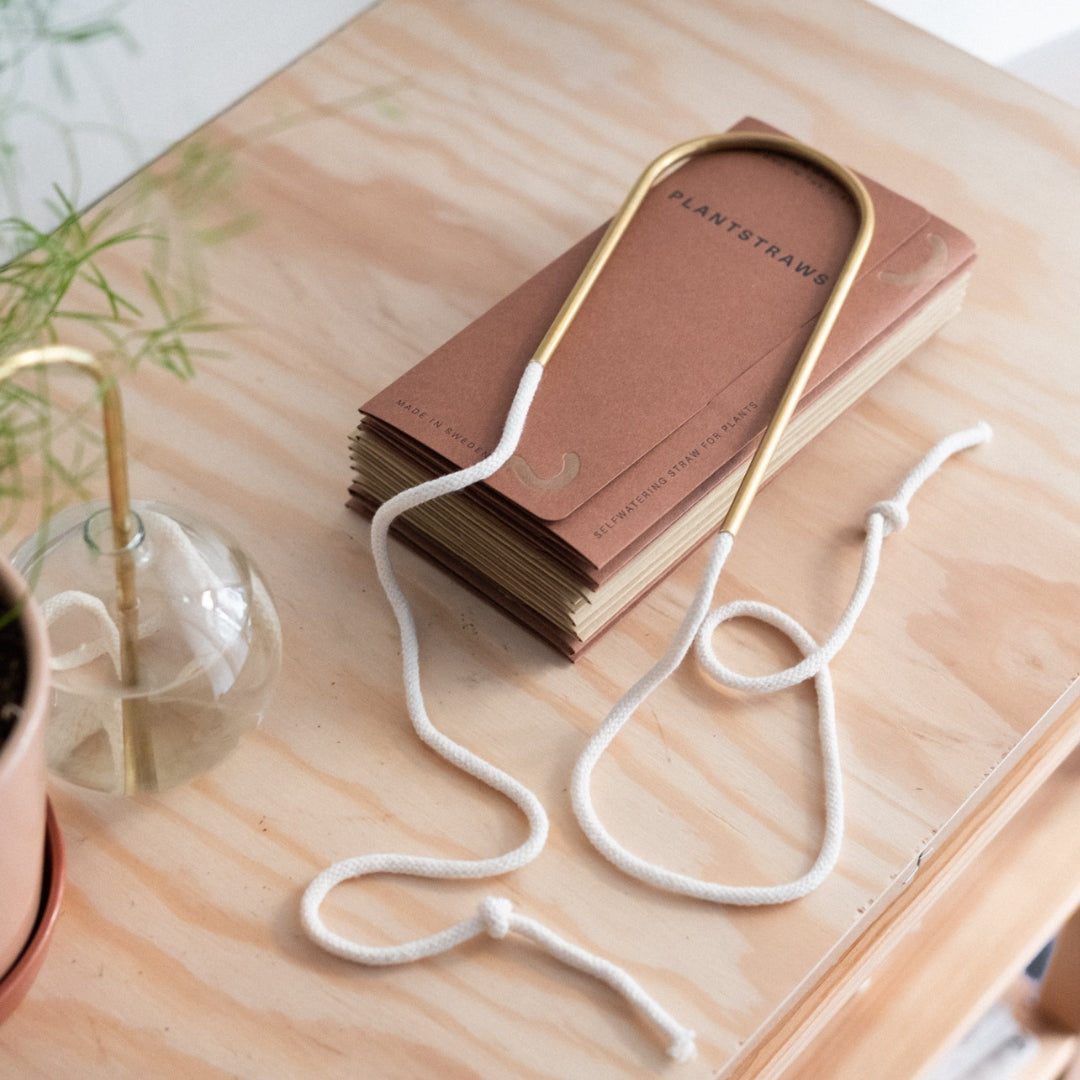 Plant Straw Brass