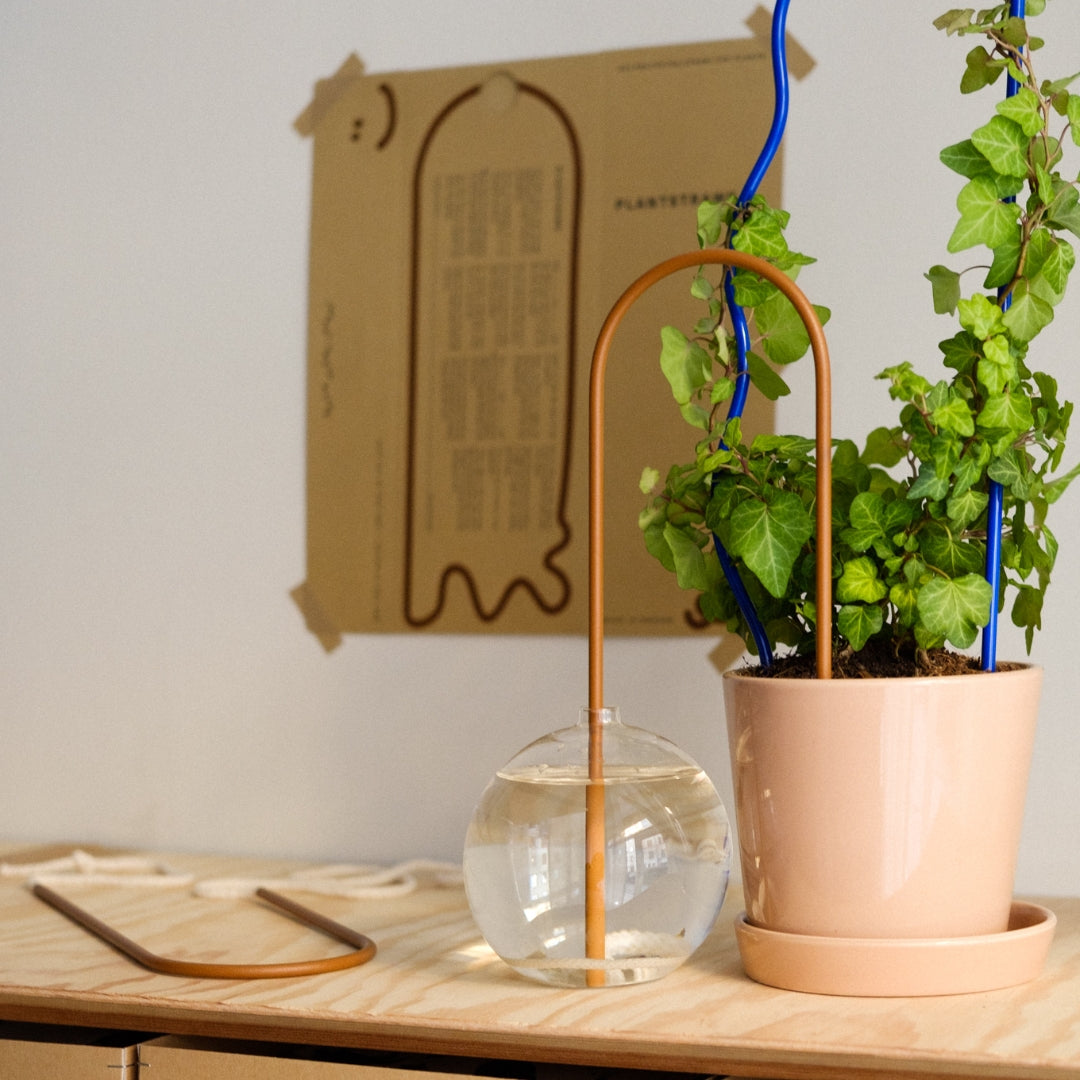Plant Straw Brown