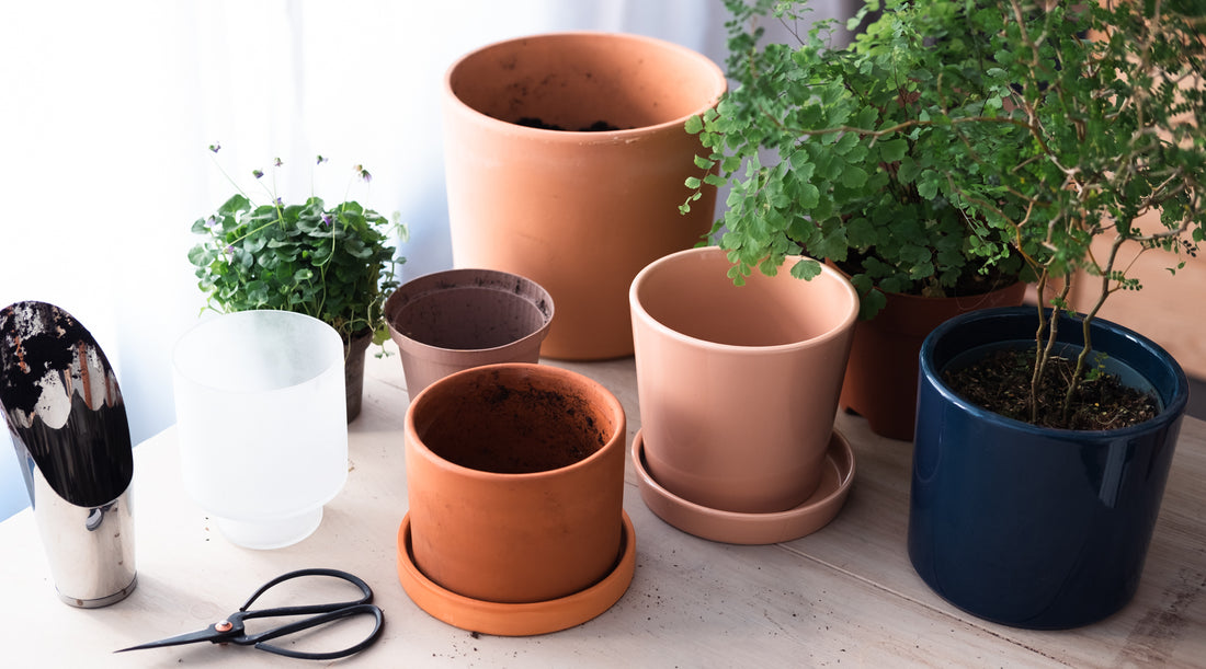 The Difference Between Terracotta, Ceramic, and Plastic Pots, and Why It  Matters to Your Plants