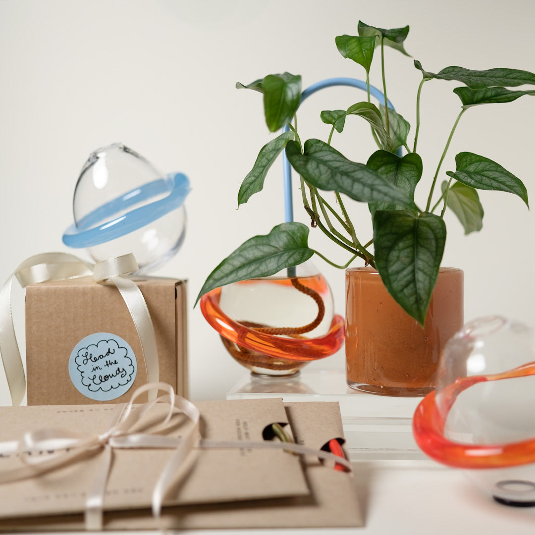 Small Plantstraws and Planet Vase