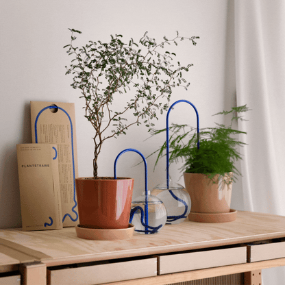 Plant Straws Mixed Colors Set