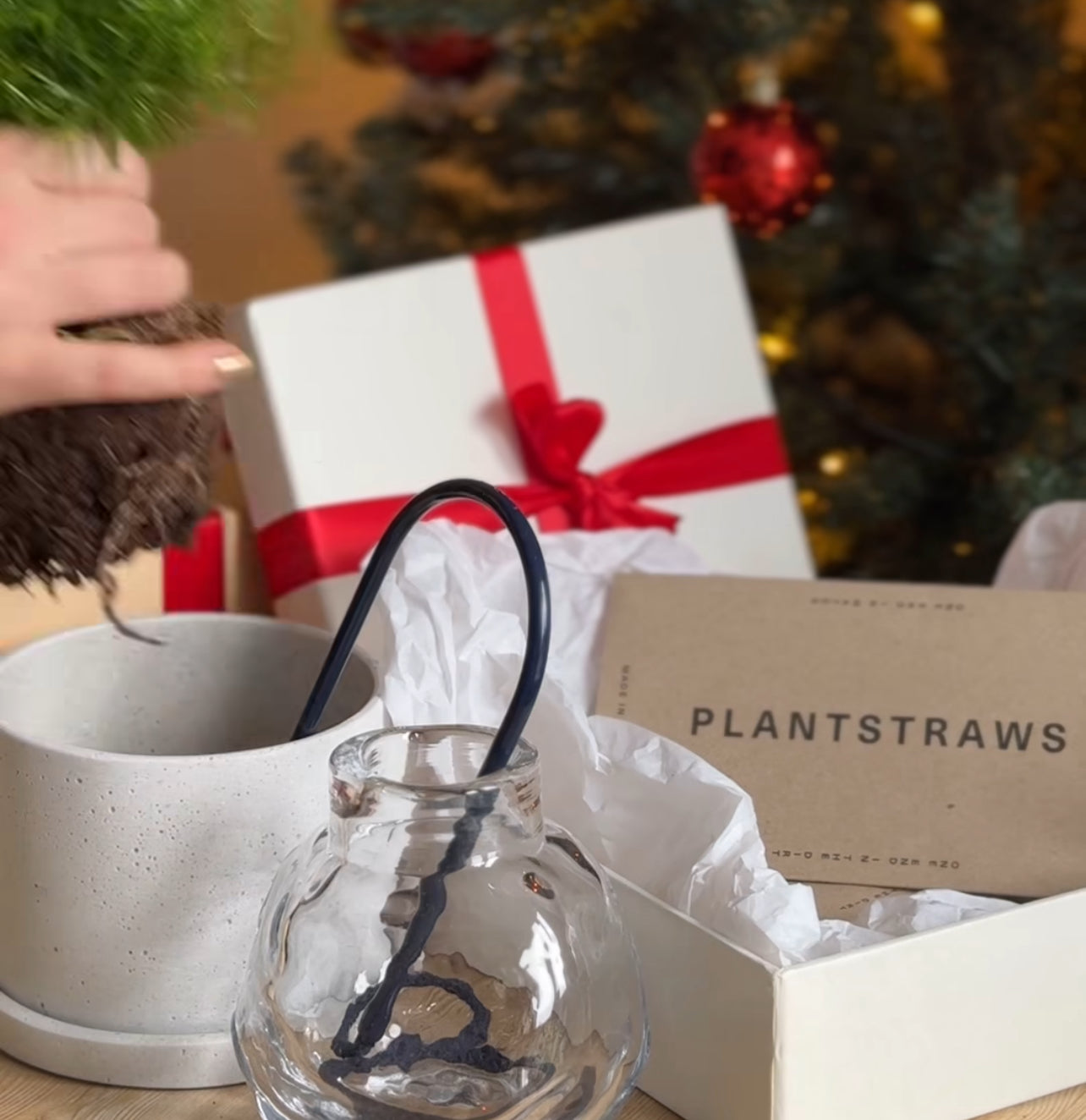 plantstraws