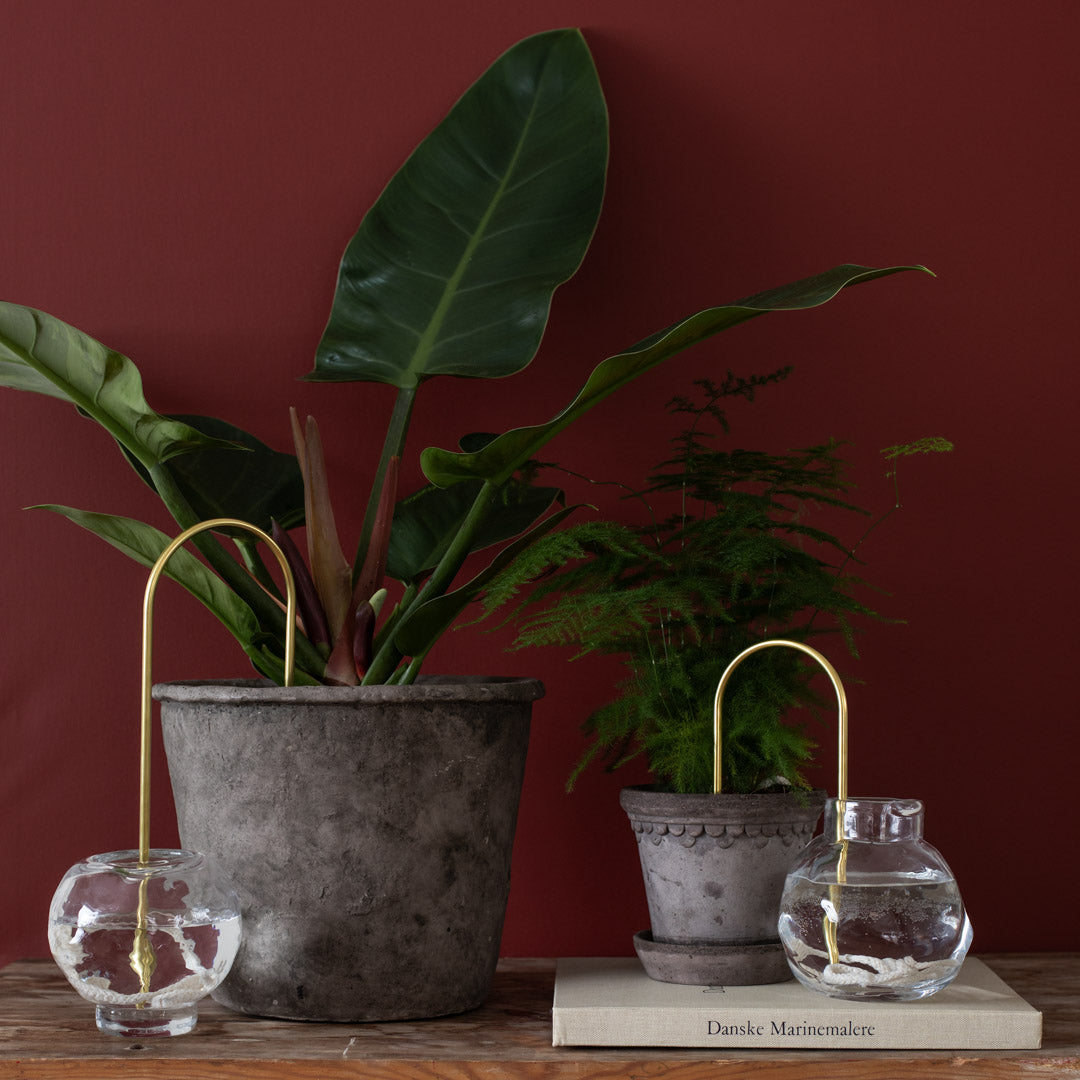 plant straws self watering Plant Straws Small – PLANTSTRAWS