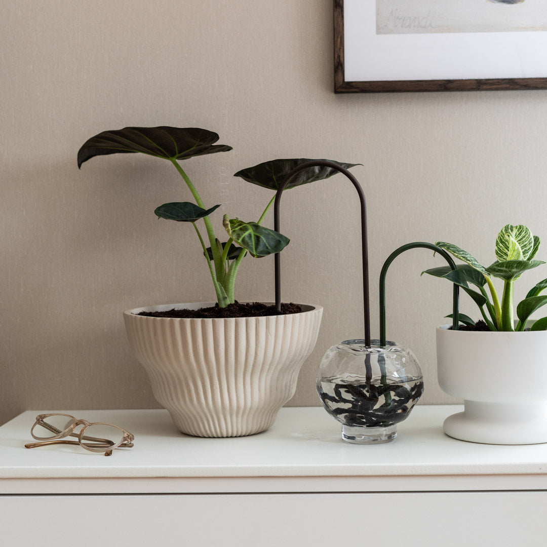 straw plant pots Plant Straws Small – PLANTSTRAWS