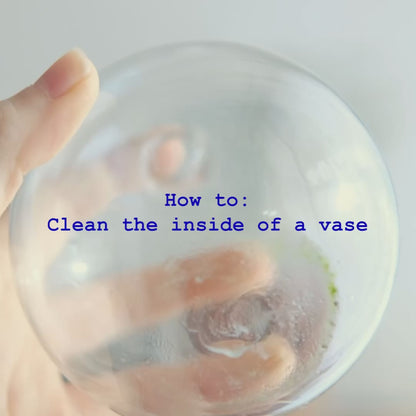 Vase Cleaning Beads