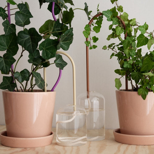 Plant Straws Mixed Colors Set